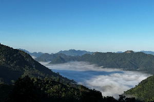 普洱茶區——老倉福德
